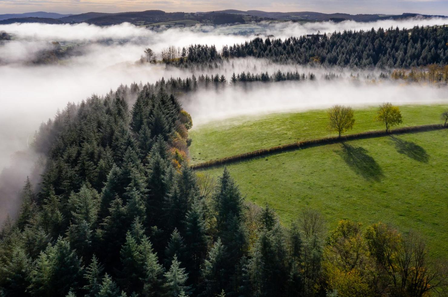 Parc Naturel Régional du Morvan